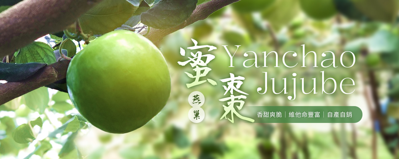 banner_r1_c1.jpg banner_r1_c1.jpg